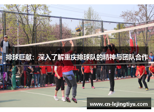 排球巨献：深入了解重庆排球队的精神与团队合作